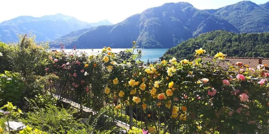 Magic Garden Como-Pool-Jacuzzi&amazing Lake view Lenno Buitenkant foto