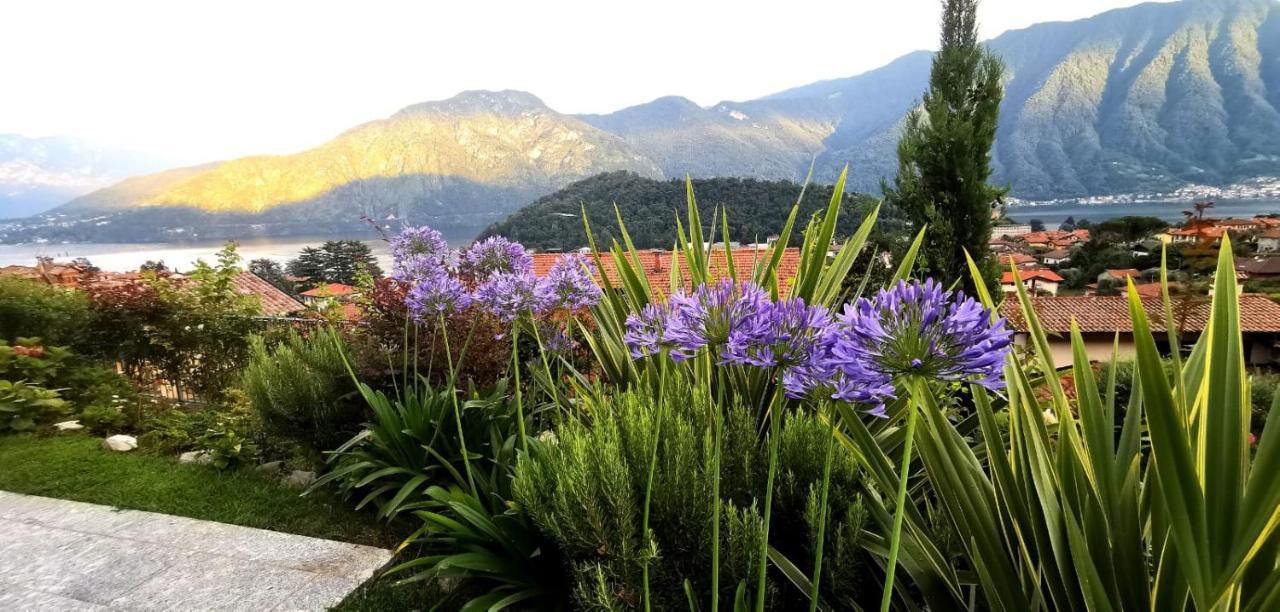 Magic Garden Como-Pool-Jacuzzi&amazing Lake view Lenno Buitenkant foto